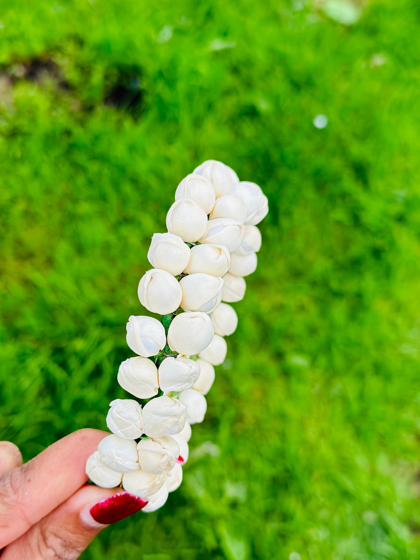 Double Layer Fresh jasmine Gajra