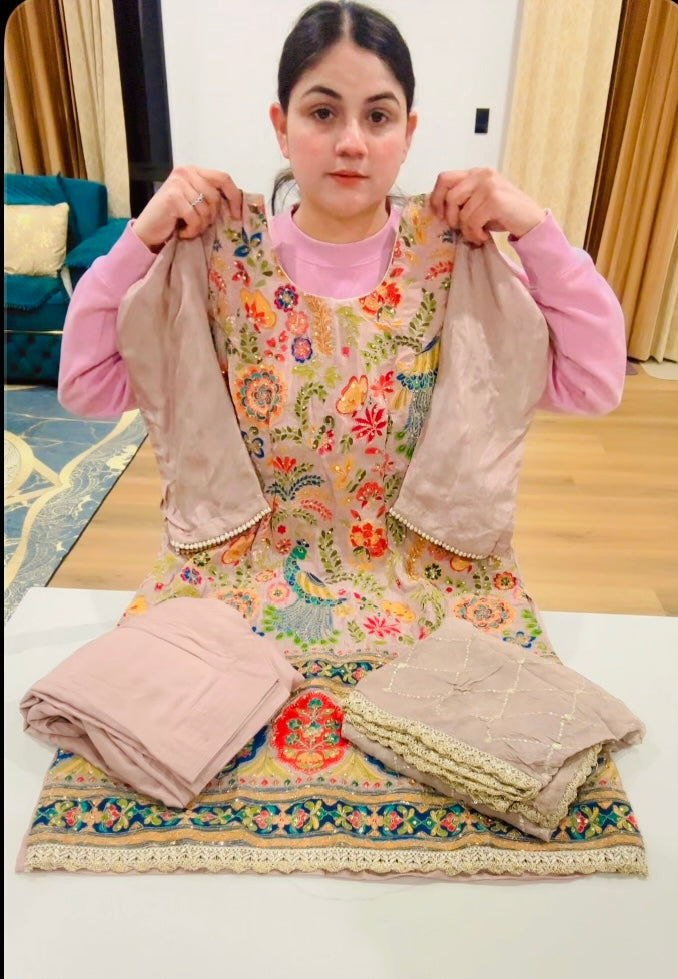 Embroidered party wear suit ( Colour - Badami ) Code: 602