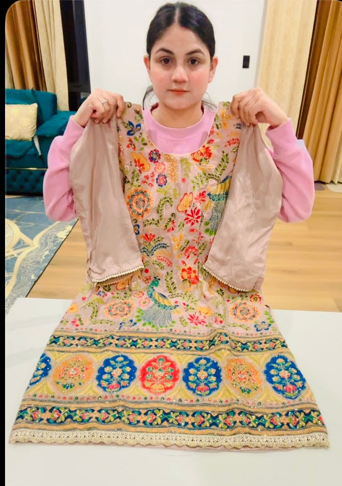 Embroidered party wear suit ( Colour - Badami ) Code: 602