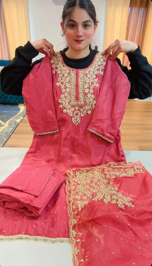 Piyaji colour Handwork salwar suit - ( Code: 736 )