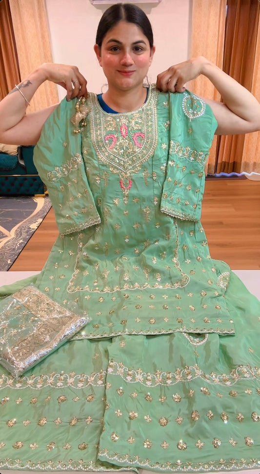 Partywear sharara suit with hand, tilla and thread work (Colour: mint green), Code: 213.                  Contact us on WhatsApp for Pre Booking this