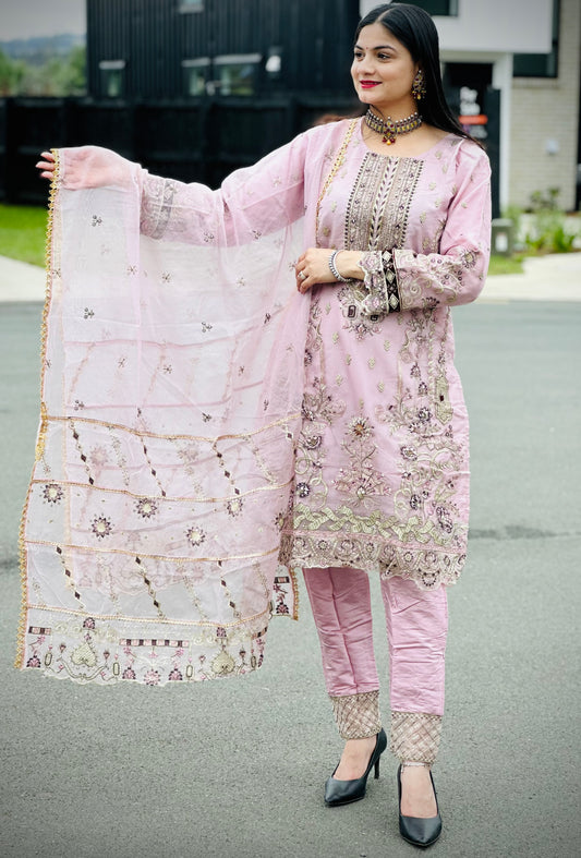 Pakistani suit with handwork  (6914)