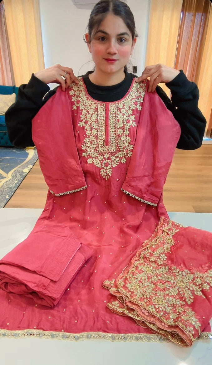 Piyaji colour Handwork salwar suit - ( Code: 736 )
