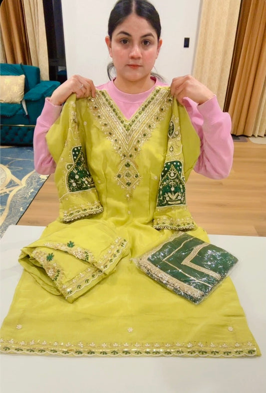Handwork V neck Pakistani suit ( Colour - Neon + Green ) - Code:603